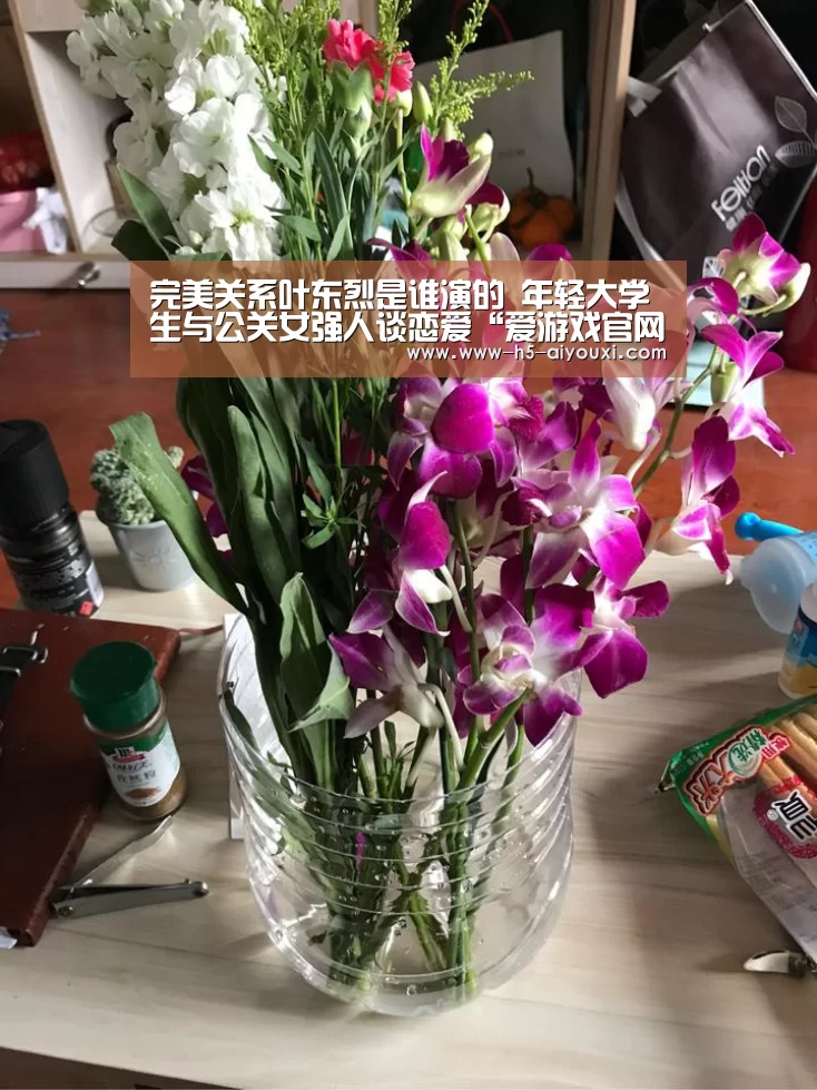 完美关系叶东烈是谁演的 年轻大学生与公关女强人谈恋爱“爱游戏官网”(图1) 爱游戏官网