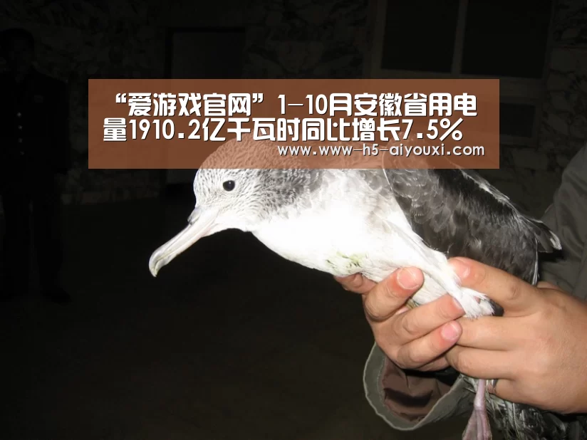 爱游戏官网
