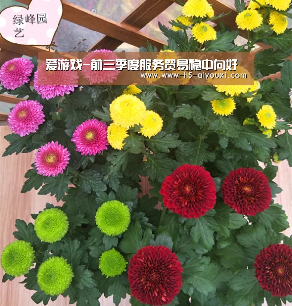 爱游戏app