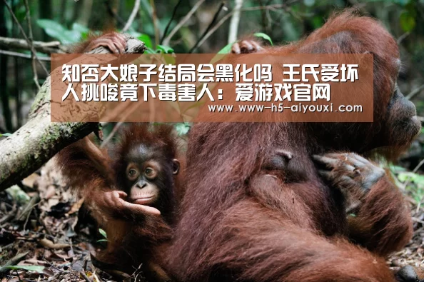 爱游戏app