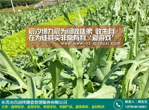 爱游戏app