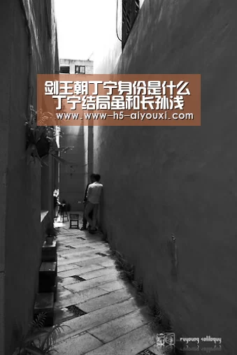 剑王朝丁宁身份是什么 丁宁结局虽和长孙浅雪一起仍有遗憾【爱游戏官网】(图3) 爱游戏app