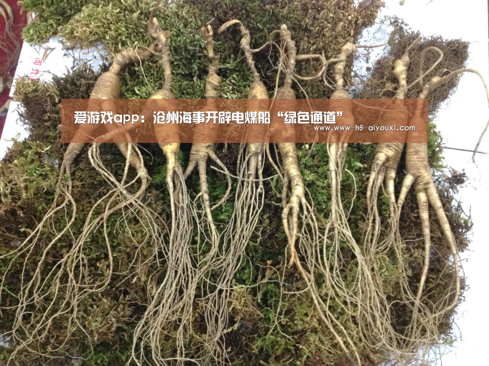 爱游戏app:沧州海事开辟电煤船“绿色通道”(图2) 爱游戏