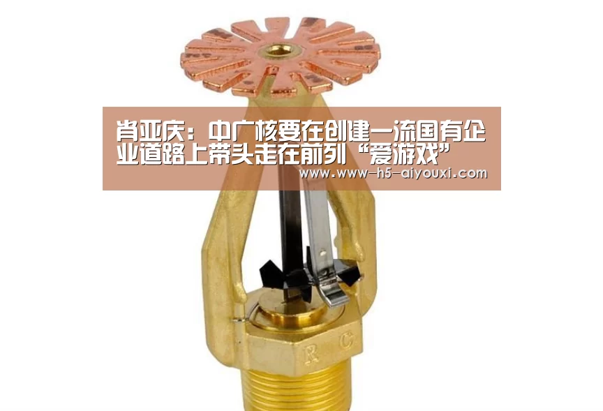 肖亚庆:中广核要在创建一流国有企业道路上带头走在前列“爱游戏”(图1) 爱游戏app