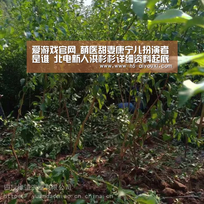 爱游戏官网_萌医甜妻康宁儿扮演者是谁 北电新人洪杉杉详细资料起底(图1) 爱游戏官网