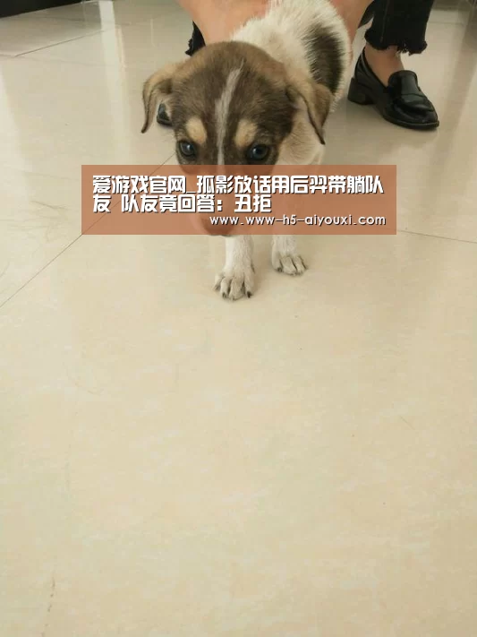 爱游戏官网_孤影放话用后羿带躺队友 队友竟回答:丑拒(图3) 爱游戏