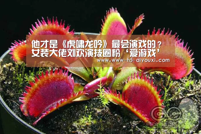 他才是《虎啸龙吟》最会演戏的?女装大佬刘欢演技圈粉‘爱游戏’(图2) 爱游戏app