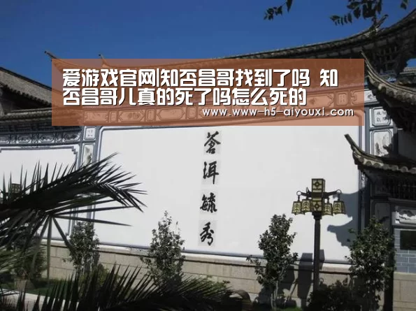 爱游戏